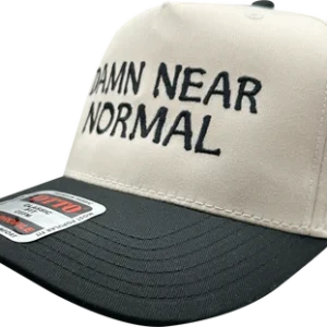 DNN Snapback